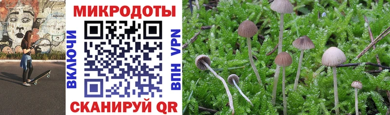 Купить где  Спас-Клепики  Псилоцибиновые грибы GOLDEN TEACHER 